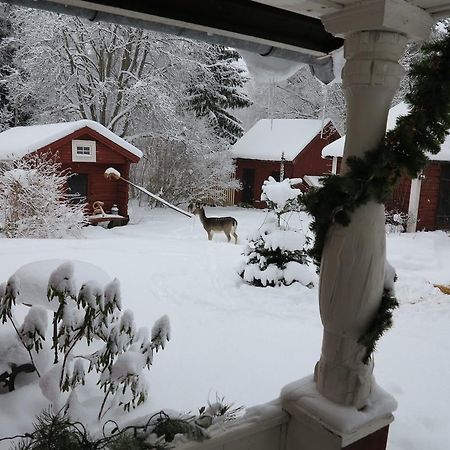 Olsbacka Cottage 法伦 外观 照片